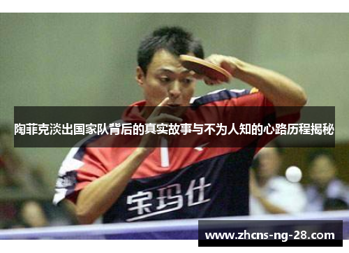 陶菲克淡出国家队背后的真实故事与不为人知的心路历程揭秘