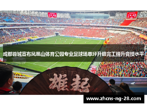 成都蓉城宣布凤凰山体育公园专业足球场草坪升级完工提升竞技水平